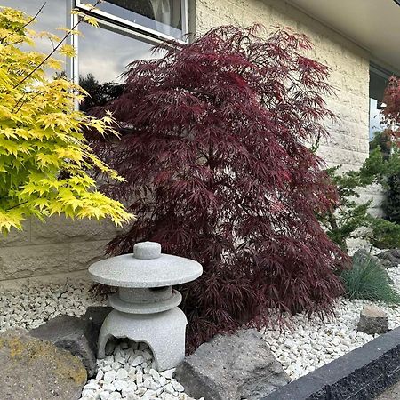The Airport Homestay House Christchurch Eksteriør bilde