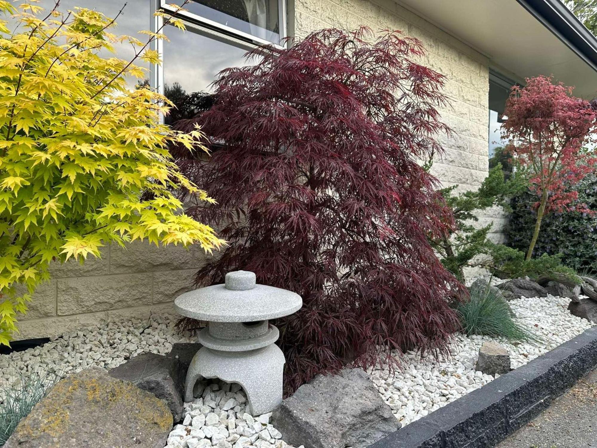 The Airport Homestay House Christchurch Eksteriør bilde