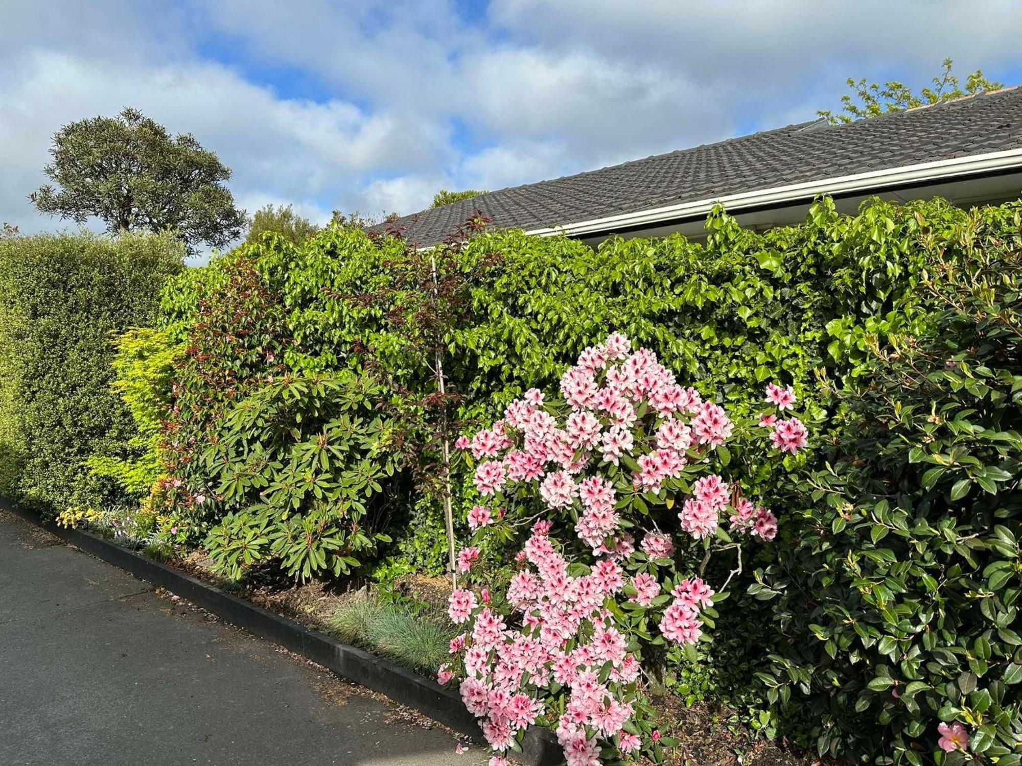 The Airport Homestay House Christchurch Eksteriør bilde