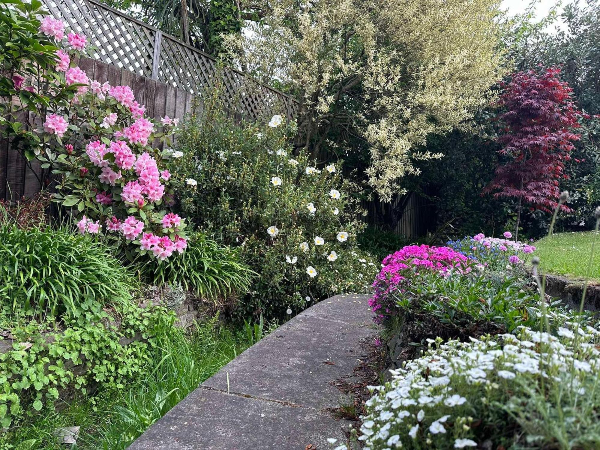 The Airport Homestay House Christchurch Eksteriør bilde