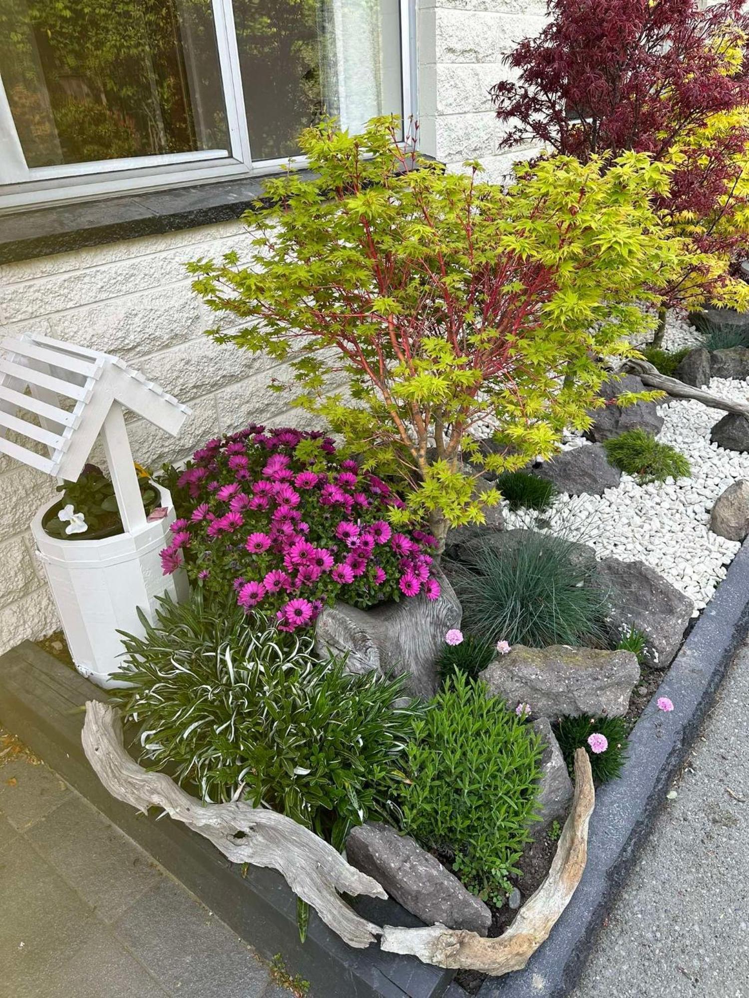The Airport Homestay House Christchurch Eksteriør bilde